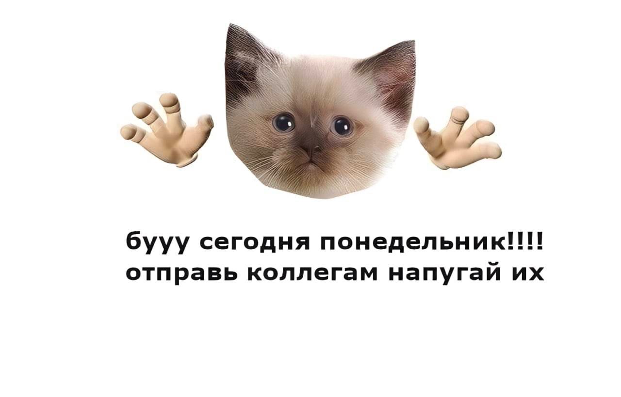 бууу сегодня понедельник!!! отправь коллегам напугай