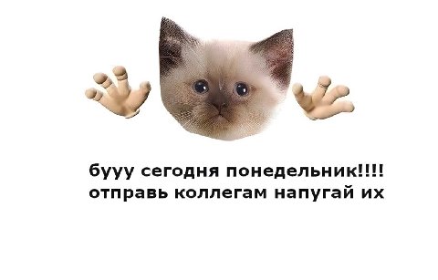 бууу сегодня понедельник!!! отправь коллегам напугай