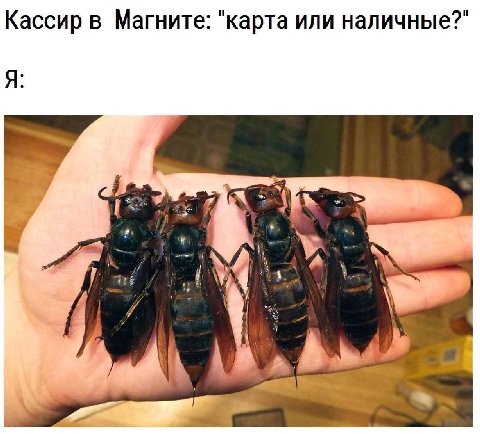 Кассир в Магните: "карта или наличные?" А