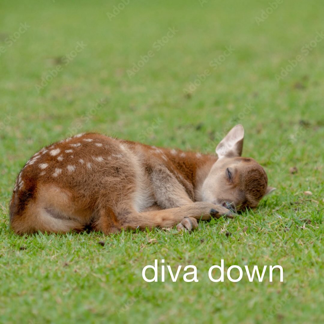 diva down