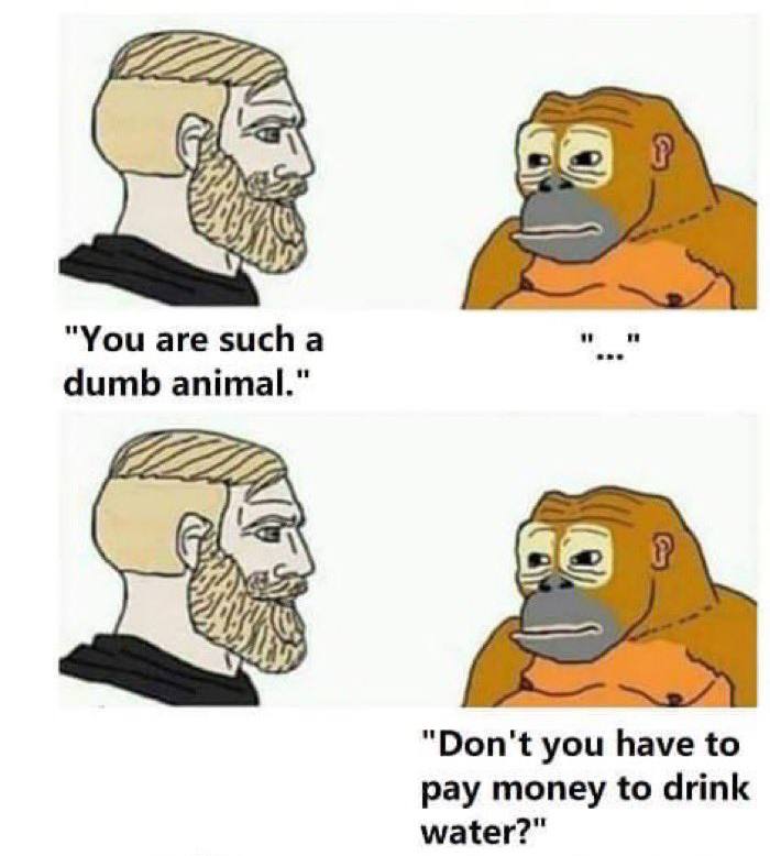 "You are sucha dumb animal." "Don't you have to pay money to drink water?"