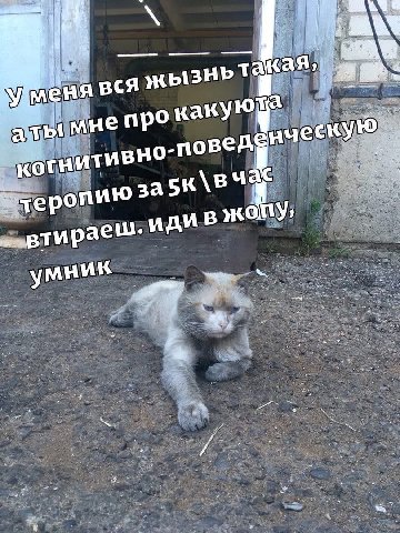 И а if и ызньтак а каку мнеп к a поведе i} и 3a epo иди тира умник