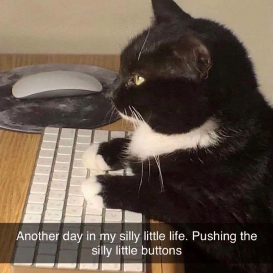4 Another day in my silly little life. Pushing the silly little buttons