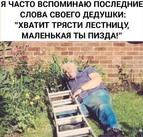 Я ЧАСТО ВСПОМИНАЮ ПОСЛЕДНИЕ СЛОВА СВОЕГО ДЕДУШКИ "ХВАТИТ ТРЯСТИ ЛЕСТНИЦУ, МАЛЕНЬКАЯ ТЫ ПИЗДА!" А