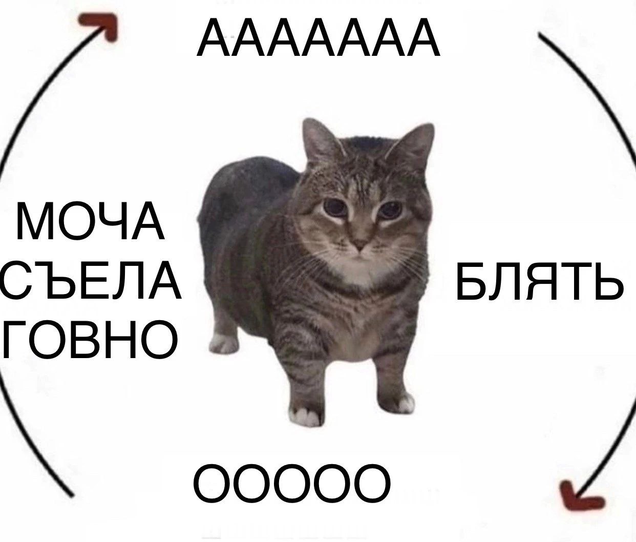 ААААААА МОЧА СЪЕЛА БЛЯТЬ ГОВНО