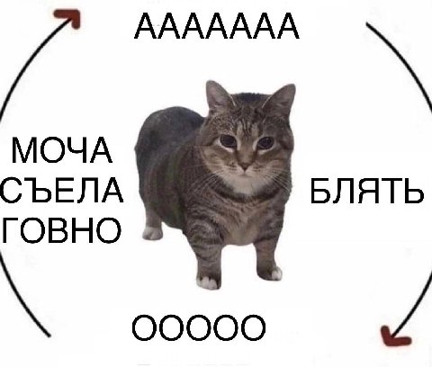 ААААААА МОЧА СЪЕЛА БЛЯТЬ ГОВНО