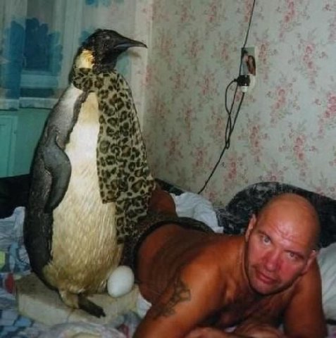 щас на таких