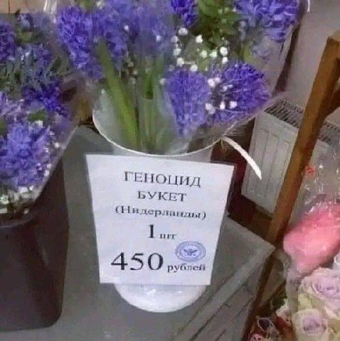 ГЕНОЦИД БУКЕТ 450