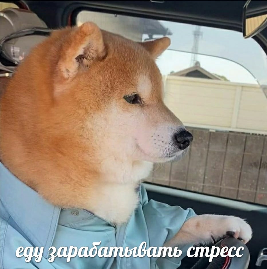 еду зарадапиявать стресс