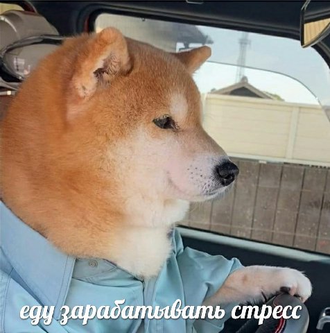 еду зарадапиявать стресс