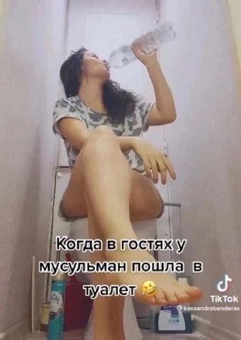 yan (мусульман пошла) в туалет TikTok