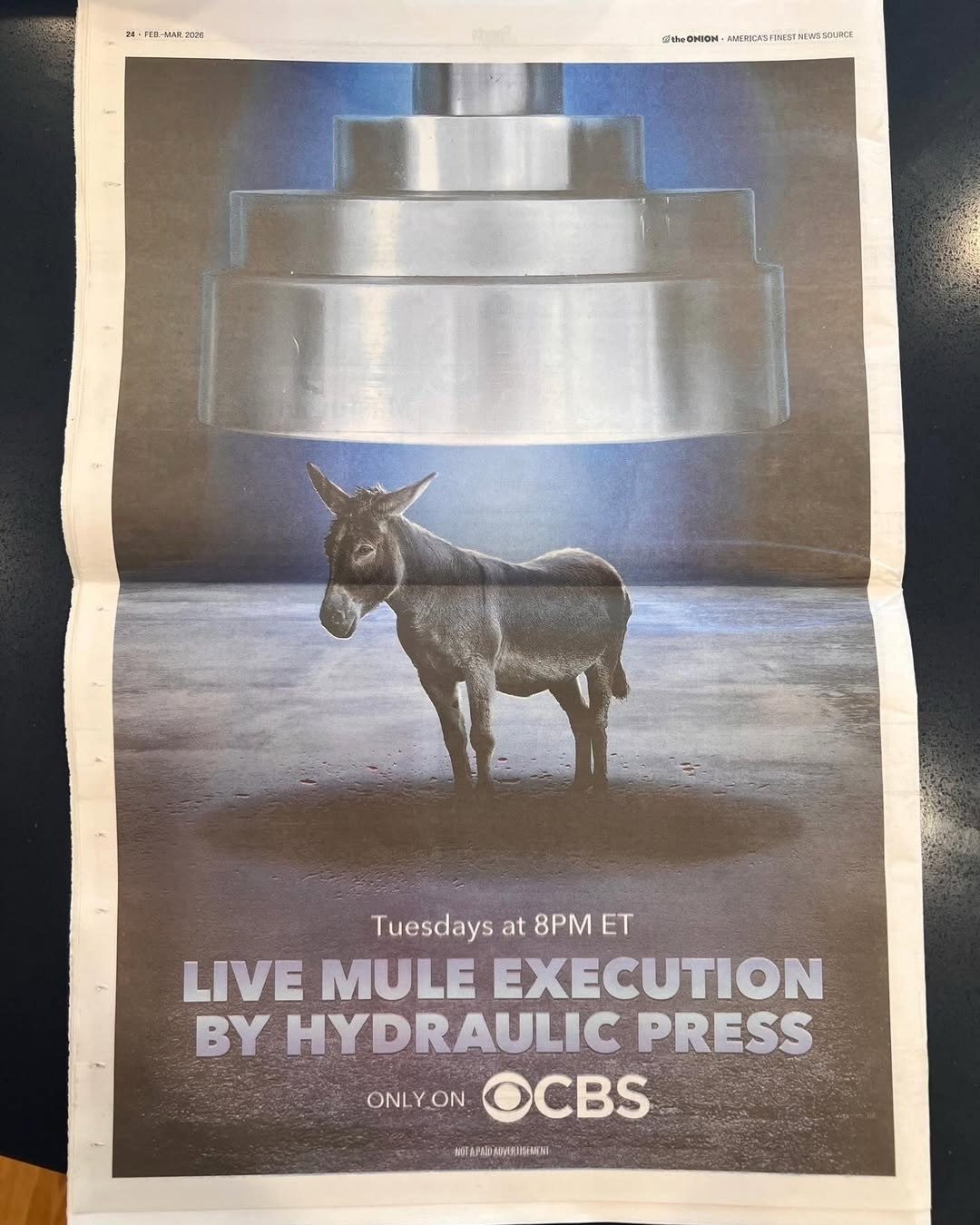 Tuesdays at LIVE MULE EXECUTION HYDRAULIC