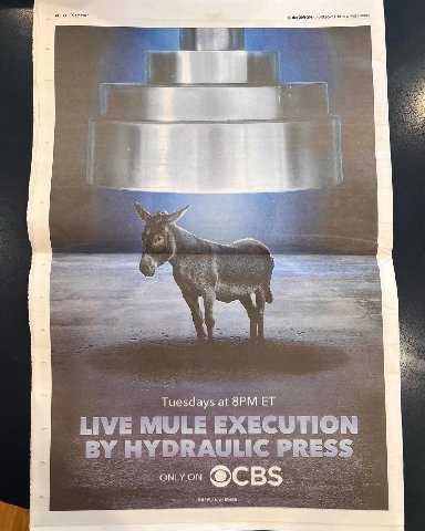 Tuesdays at LIVE MULE EXECUTION HYDRAULIC