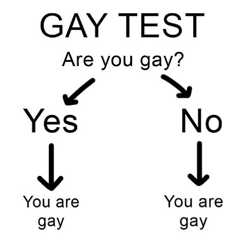 САУ ТЕЗТ Are you gay? Yes No You are You are gay gay