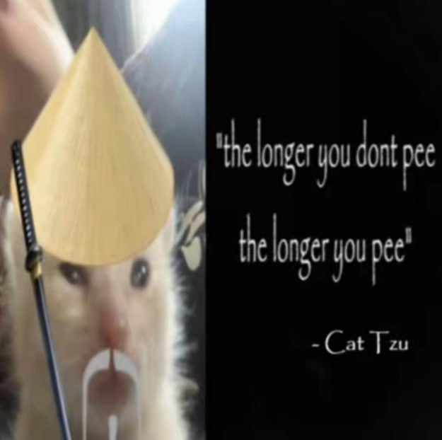 the dnt pet 9 к pee Cat Tzu