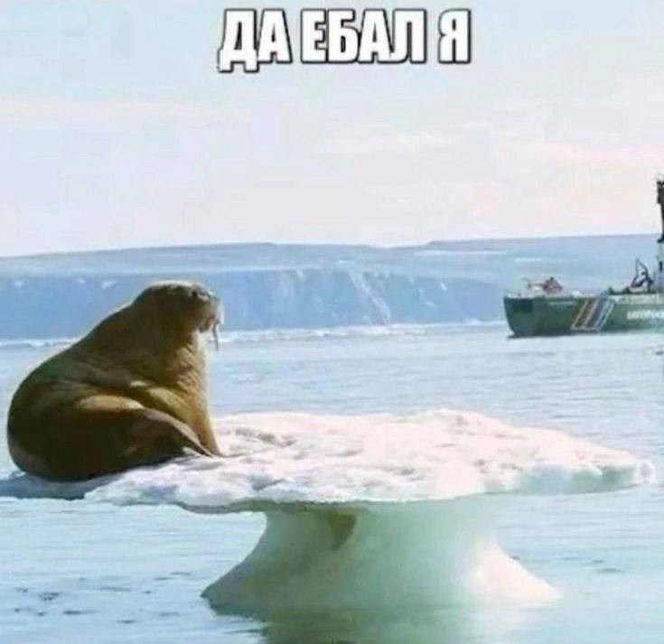 ДАТЕБАЛЯ