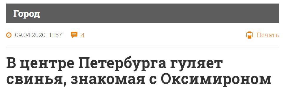09.04.2020 11:57 94 Печать В центре Петербурга гуляет свинья, знакомая с Оксимироном