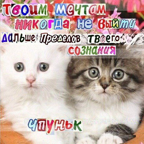 UTG а. дальше в