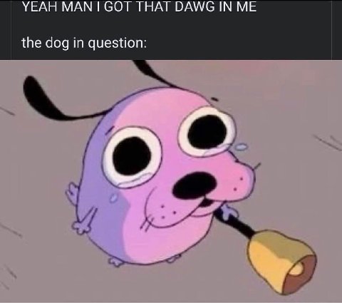 YEAH МАМ GOT THAT DAWG IN the dog in question: РУО 4
