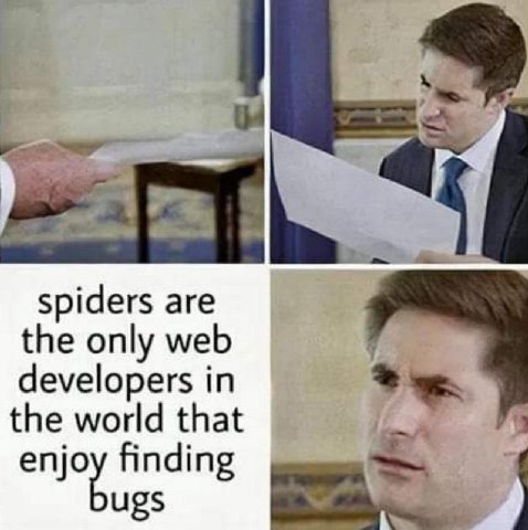 spiders are the only web developers the world that enjoy finding ugs