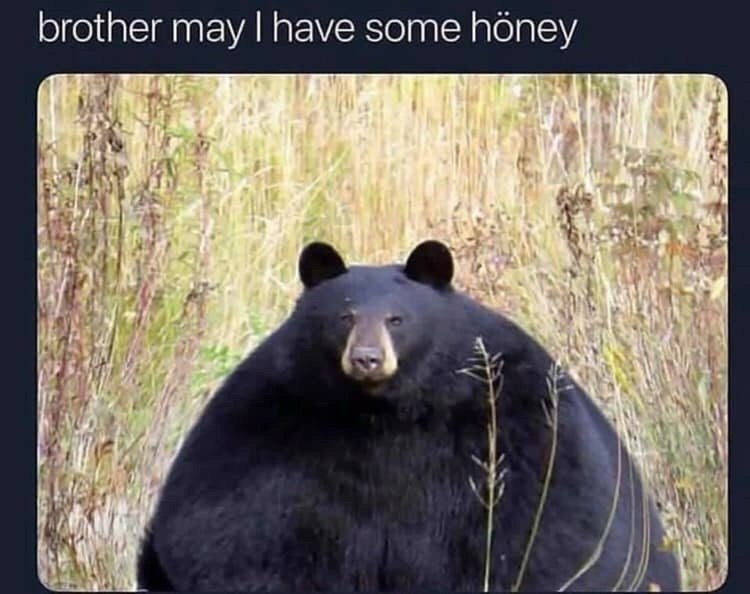 brother may have some money a