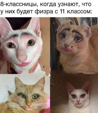 8-классницы, когда узнают, что у них будет физра с 11 классом: