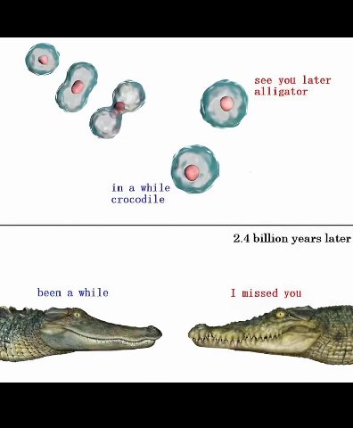 see you later alligator in a while crocodile 2.4 billion years later been a while I missed you San