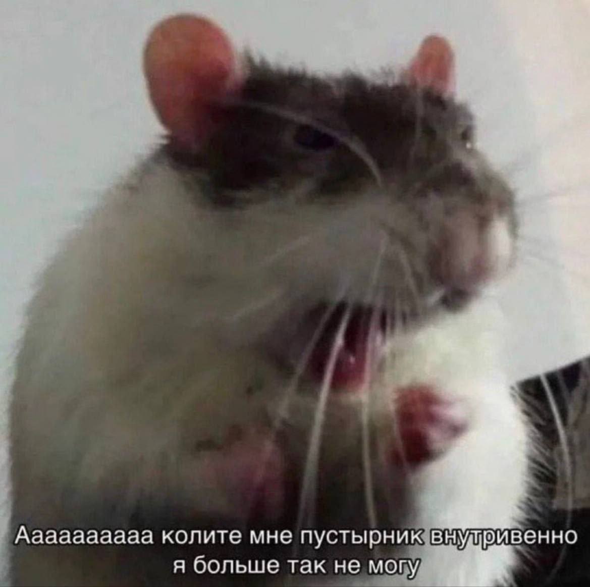 Mood: