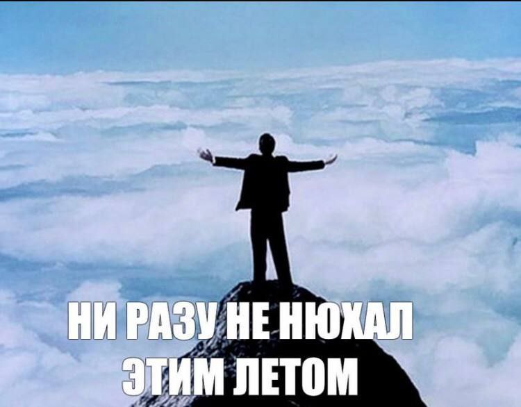 А НИ РАЗУ HE НЮКАЛ ЭТИМ ЛЕТОМ
