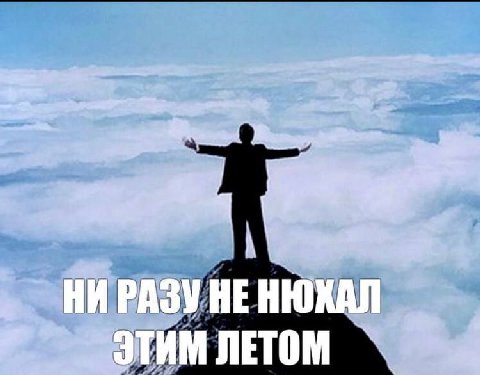 А НИ РАЗУ HE НЮКАЛ ЭТИМ ЛЕТОМ