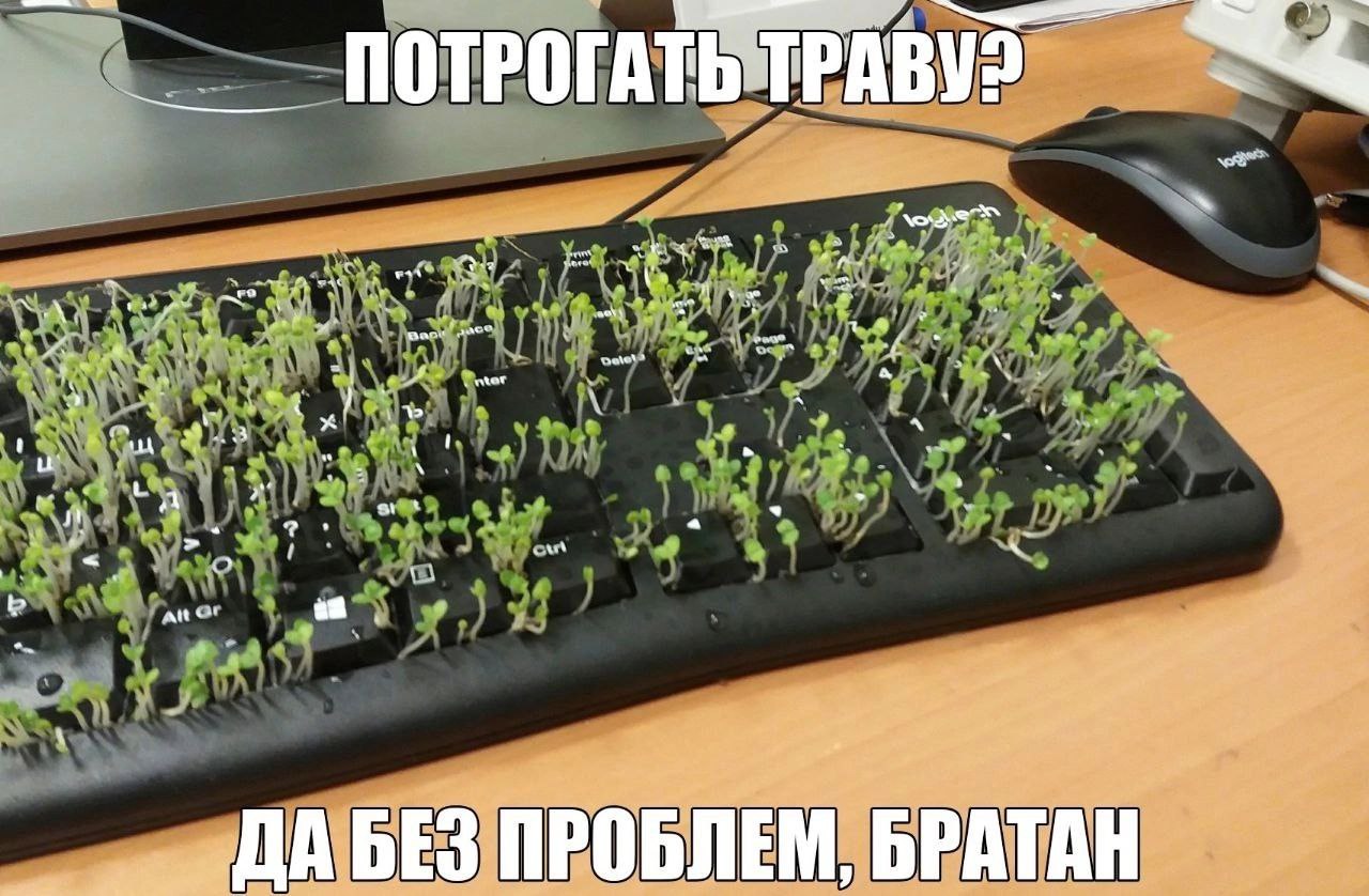 ‚7 и a at hal ПРОБЛЕМ,