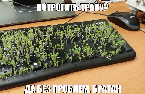 ‚7 и a at hal ПРОБЛЕМ,