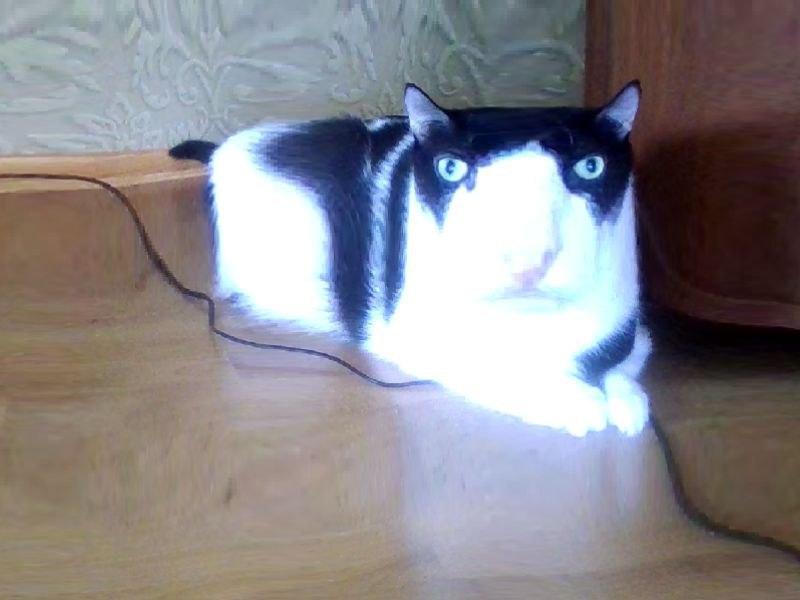 1 я 4 (2 4 к. у 4,