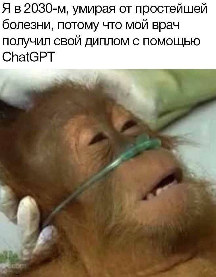 Я умирая от простейшей болезни, потому что мой врач ПОЛУЧИЛ СВОЙ ДИПЛОМ С ПОМОЩЬЮ ChatGPT