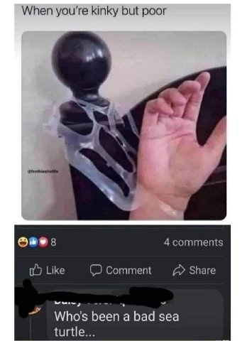 When you're kinky but poor 4 comments Like Comment Share Who's been ‘а bad sea turtle...