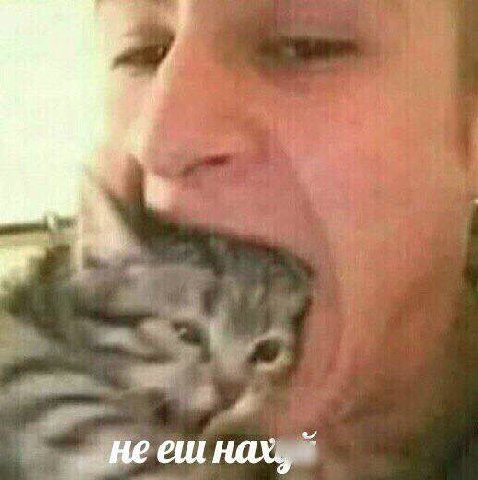 я нахуя