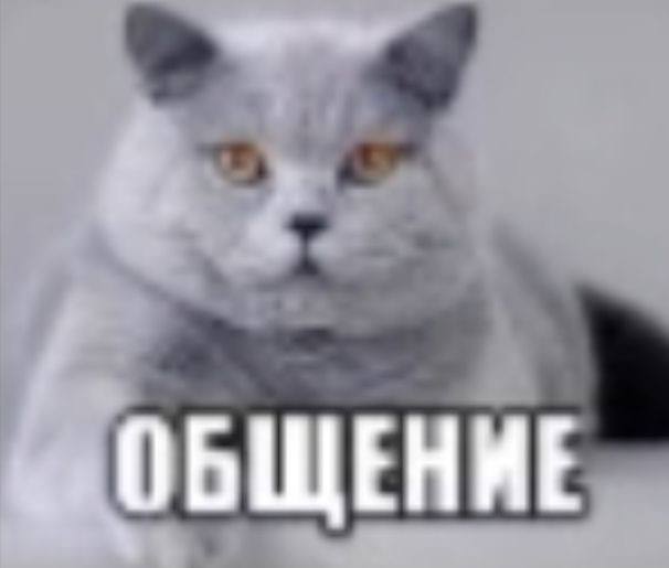 ОБЩЕНИЕ