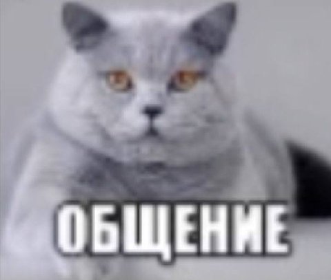 ОБЩЕНИЕ