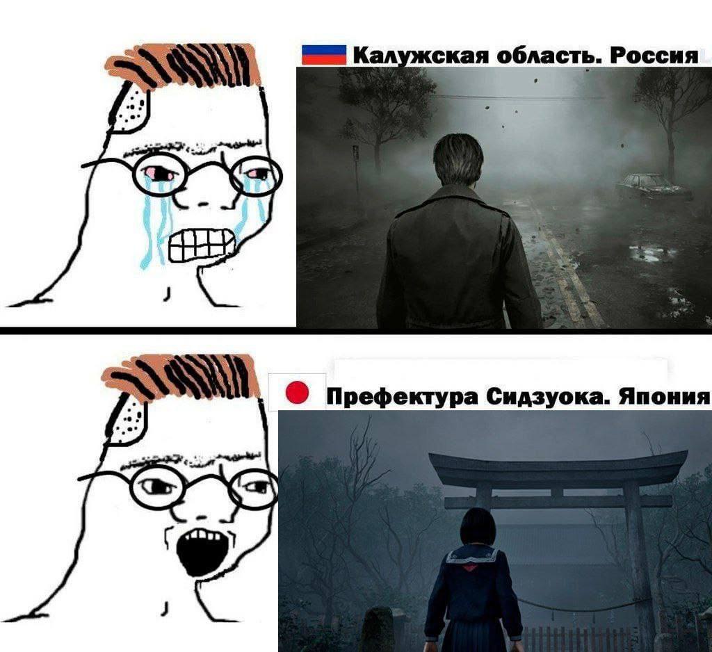 Калужская область. Россия Префектура Сидзуока. Япония 3