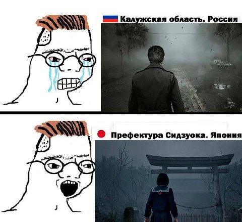 Калужская область. Россия Префектура Сидзуока. Япония 3