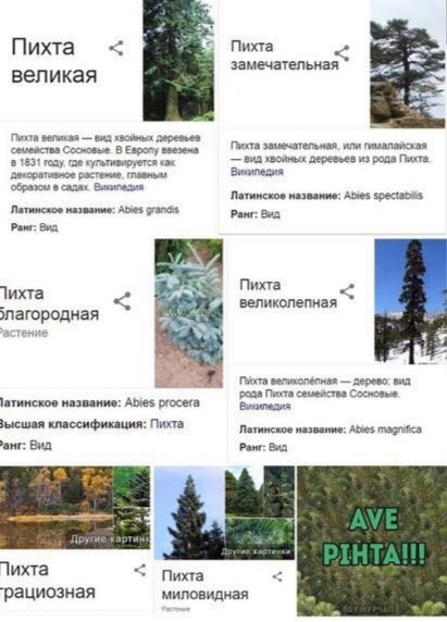км