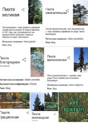 км