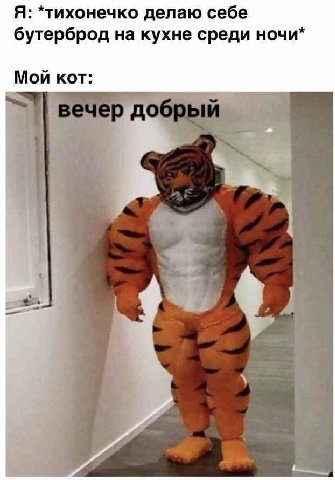 Я: *тихонечко делаю себе бутерброд на кухне среди ночи* Мой кот: до