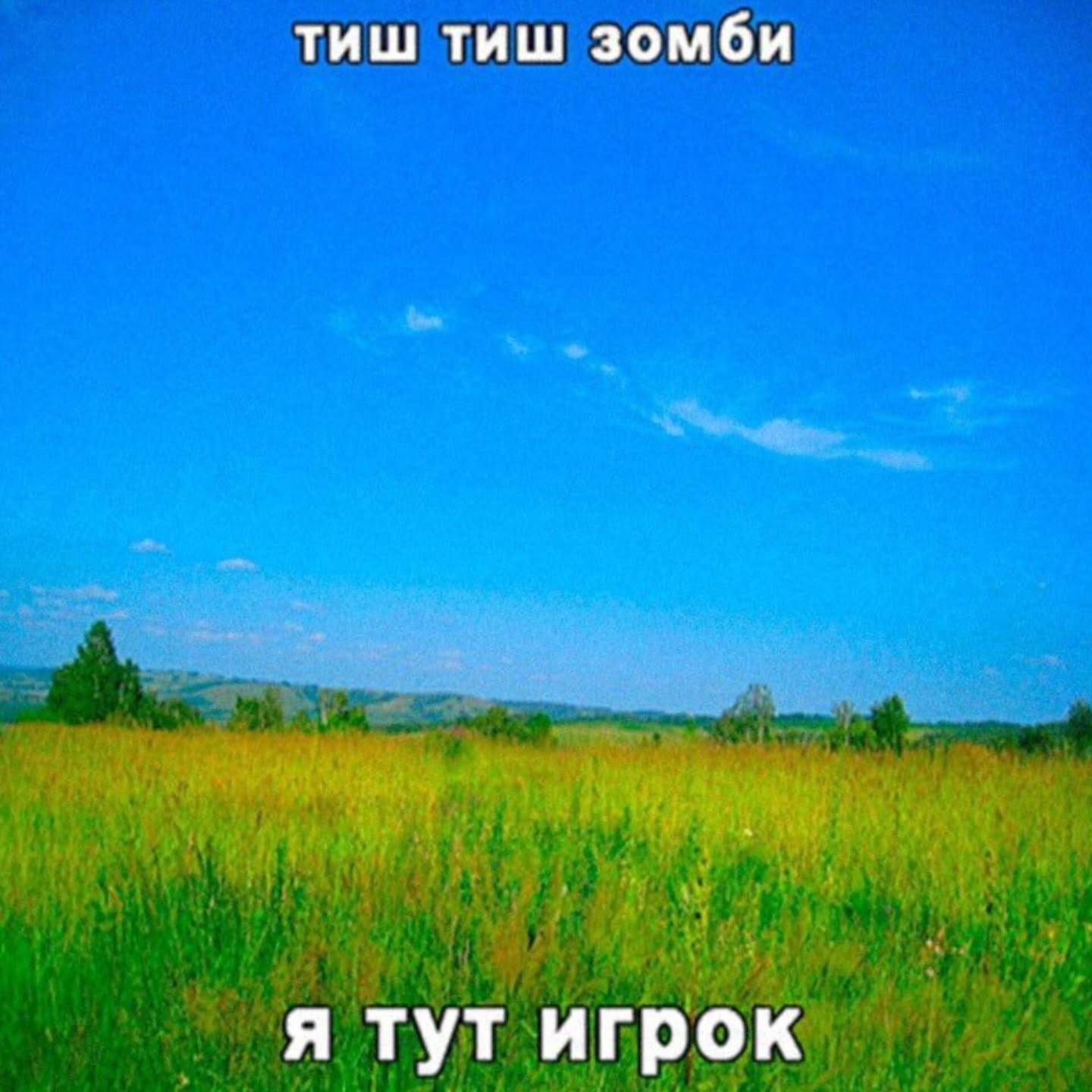 тиш тиш зомби я тут игрок