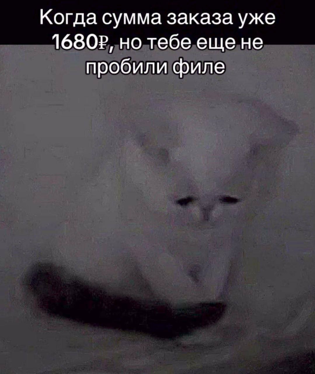 Когда сумма заказа уже но тебе еще не пробили филе