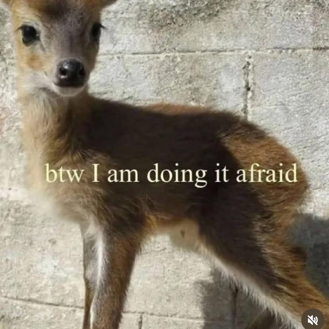 a btw Гат doing it