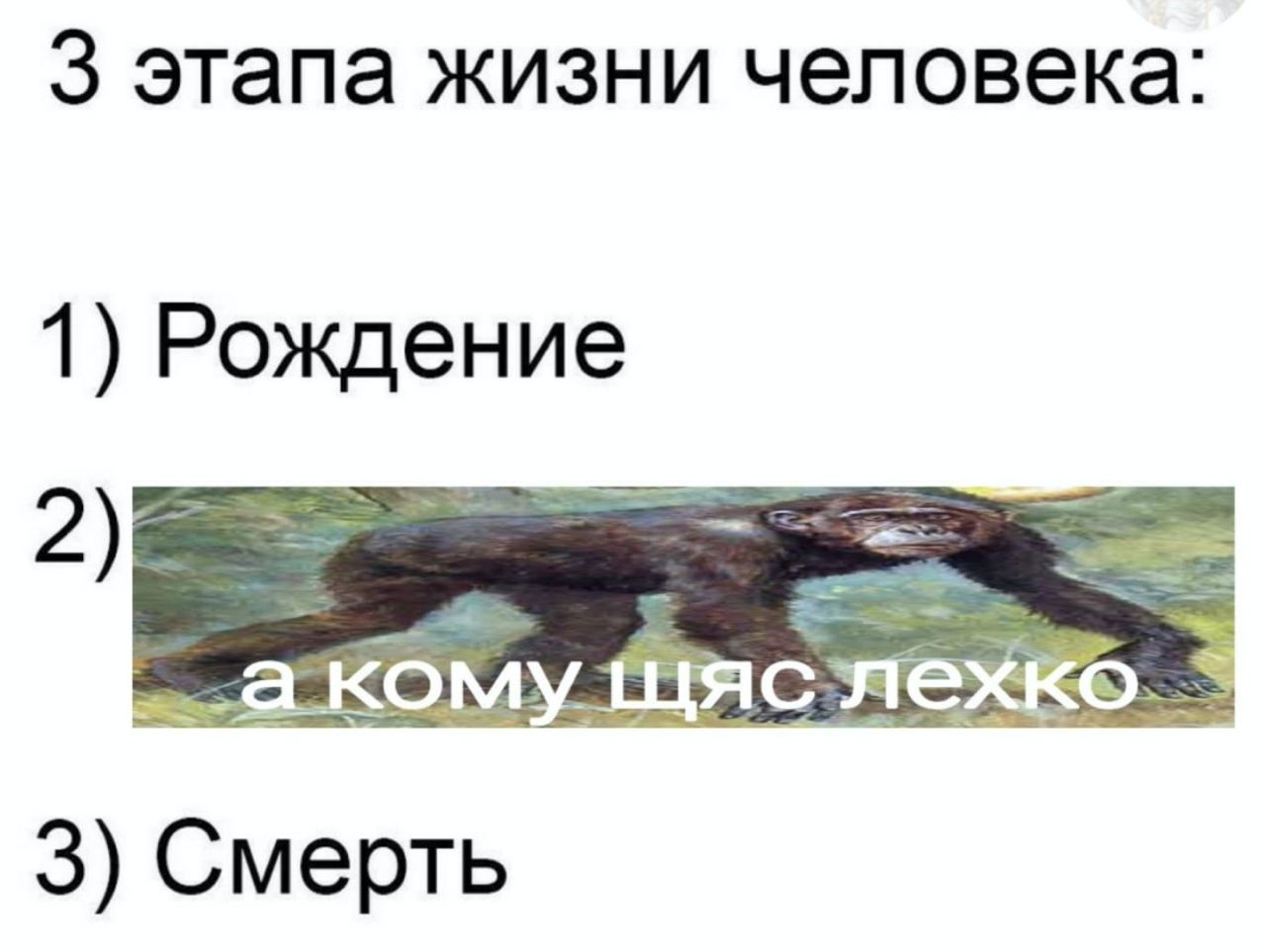 3 этапа жизни человека: 1) Рождение 3) Смерть