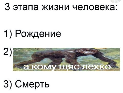 3 этапа жизни человека: 1) Рождение 3) Смерть