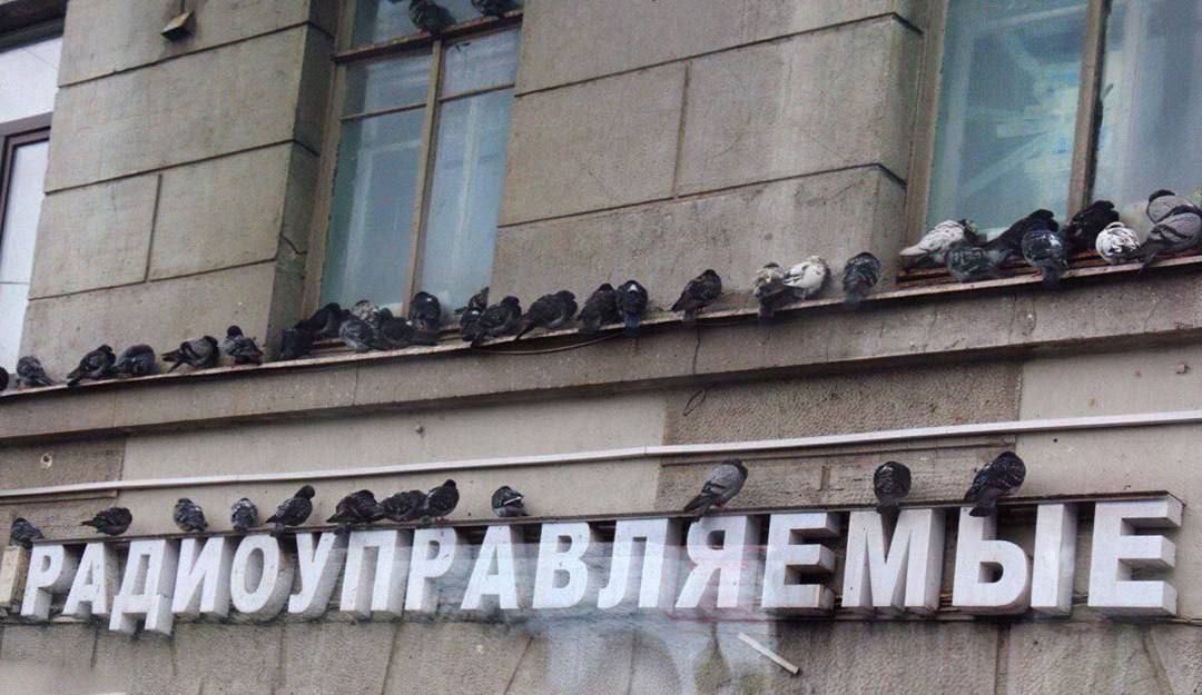 РАДИОУ ПРА ВЛЯЕ МЫЕ