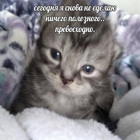 сегодня я снова не ничего полезного превосходно